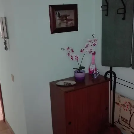 Apartment Mimosa *